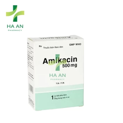 Amikacin Kabi 500 mg/100 ml