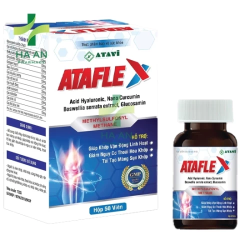 Ataflex