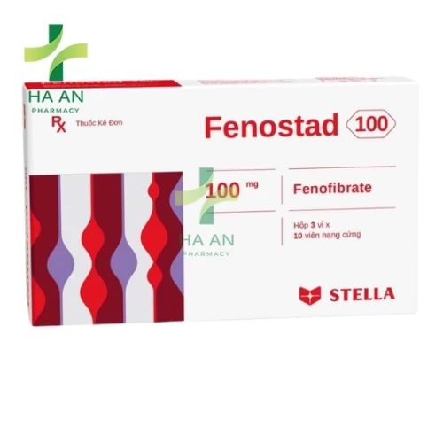 Thuốc Uống Fenostad 100Công Ty TNHH Liên Doanh Stellapharm - Chi Nhánh 1