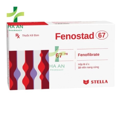 Thuốc Uống FENOSTAD 67Công Ty TNHH Liên Doanh Stellapharm - Chi Nhánh 1