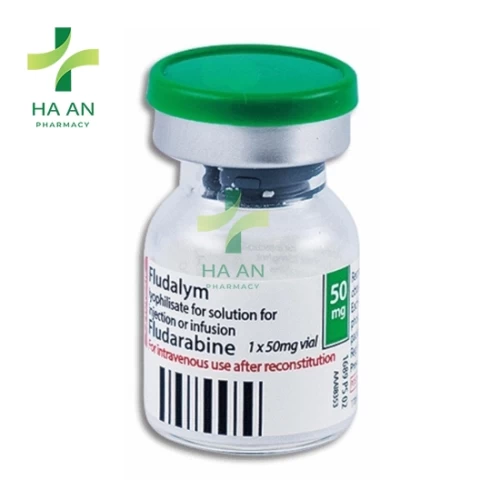 Thuốc Tiêm Fludalym 25mg/mlS.C. Sindan-Pharma SRL