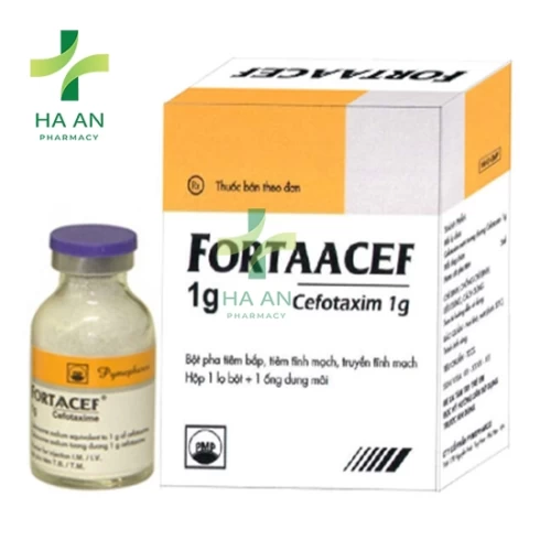 Thuốc Tiêm Fortaacef 2gCông Ty CP Pymepharco