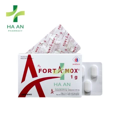 Fortamox 1g Domesco