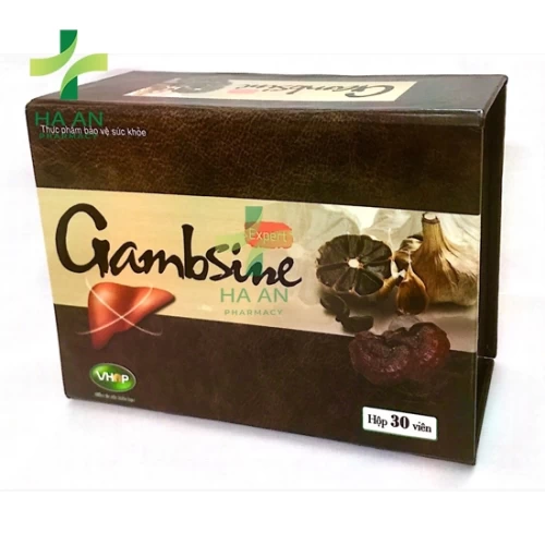Gambsine Expert