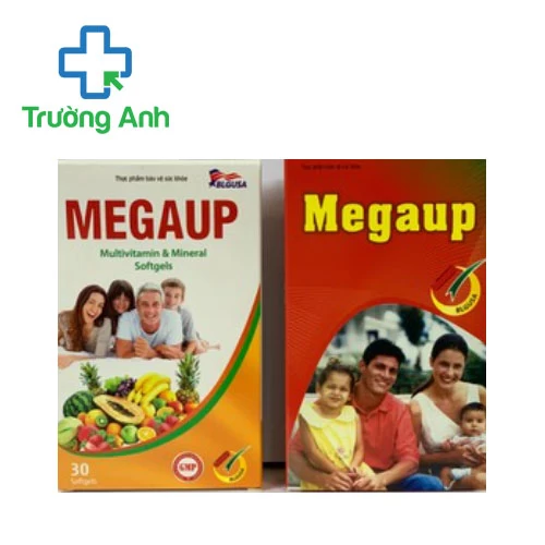 Megaup (10 hộp)