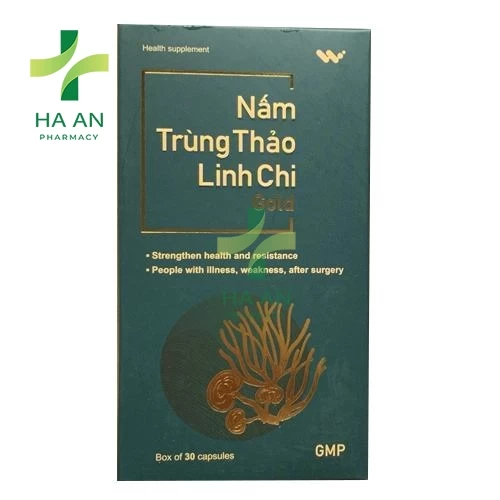 Nấm Trùng Thảo Linh Chi Gold