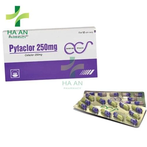 Thuốc Uống Pyfaclor 250mg - Pymepharco