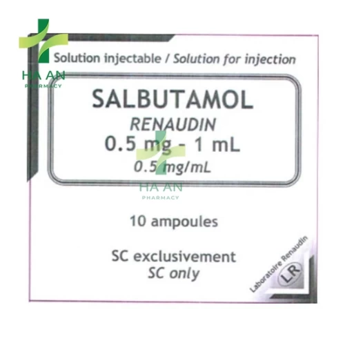 Thuốc Tiêm Salbutamol Renaudin 0,5mg/1mlLaboratoire Renaudin