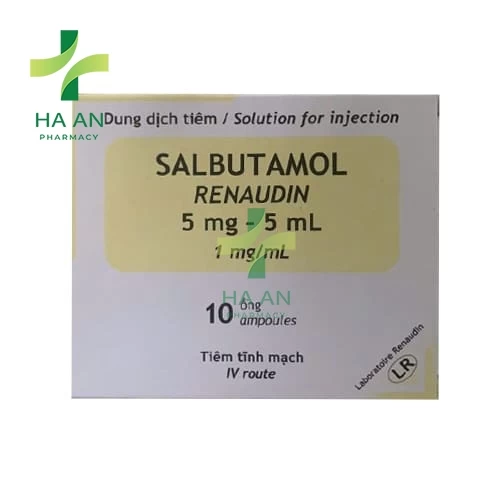 Thuốc Tiêm Salbutamol Renaudin 5mg/5ml (0,1%)Laboratoire Renaudin