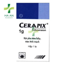 Thuốc Tiêm CeraapixCông Ty Cổ Phần Pymepharco