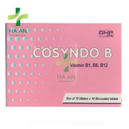 Thuốc uống Cosyndo B Công ty TNHH MTV 120 Armephaco