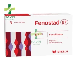 Thuốc Uống FENOSTAD 67Công Ty TNHH Liên Doanh Stellapharm - Chi Nhánh 1