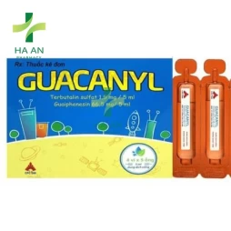 Thuốc Uống Guacanyl Công Ty Cổ Phần Dược Phẩm Cpc1 Hà Nội