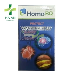 Homo Bq