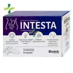 Intesta