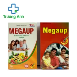 Megaup (10 hộp)
