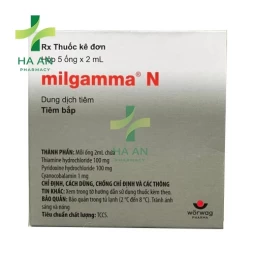 Thuốc Tiêm Milgamma N Solupharm Pharmazeutische Erzeugnisse GmbH