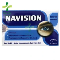 Navision