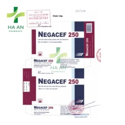 Thuốc Uống Negacef 250Pymepharco