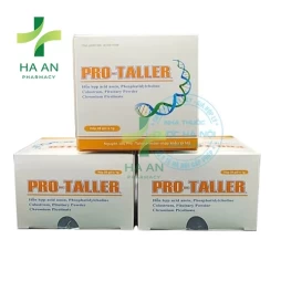 Pro-Taller