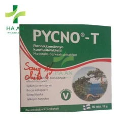 Pycno-T giúp duy trì tuần hoàn máu