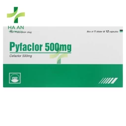 Thuốc Uống Pyfaclor 500mg Pymepharco