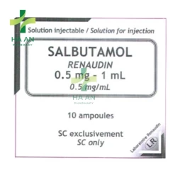 Thuốc Tiêm Salbutamol Renaudin 0,5mg/1mlLaboratoire Renaudin