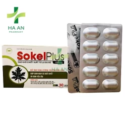  Sokelplus