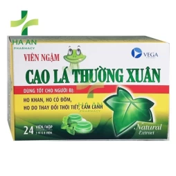 Viên ngậm Cao lá Thường Xuân Vega Pharma