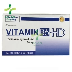 Thuốc Uống, Viên nang mềm Vitamin B6 -HDCông ty cổ phần dược vật tư y tế Hải Dương, Việt Nam