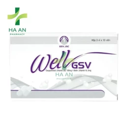 Wellgsv